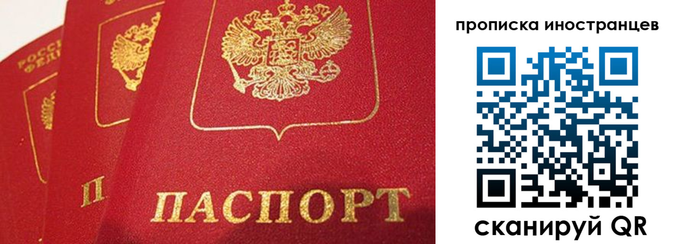 прописка поиск в Давлеканово